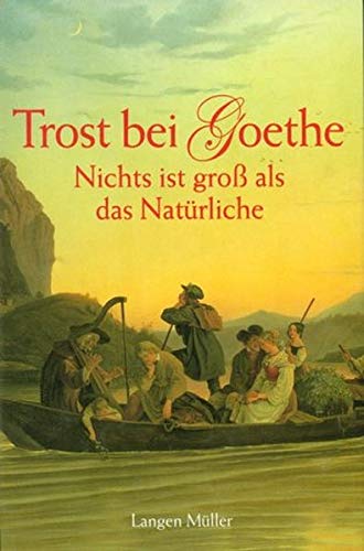 歌德的安慰 book cover