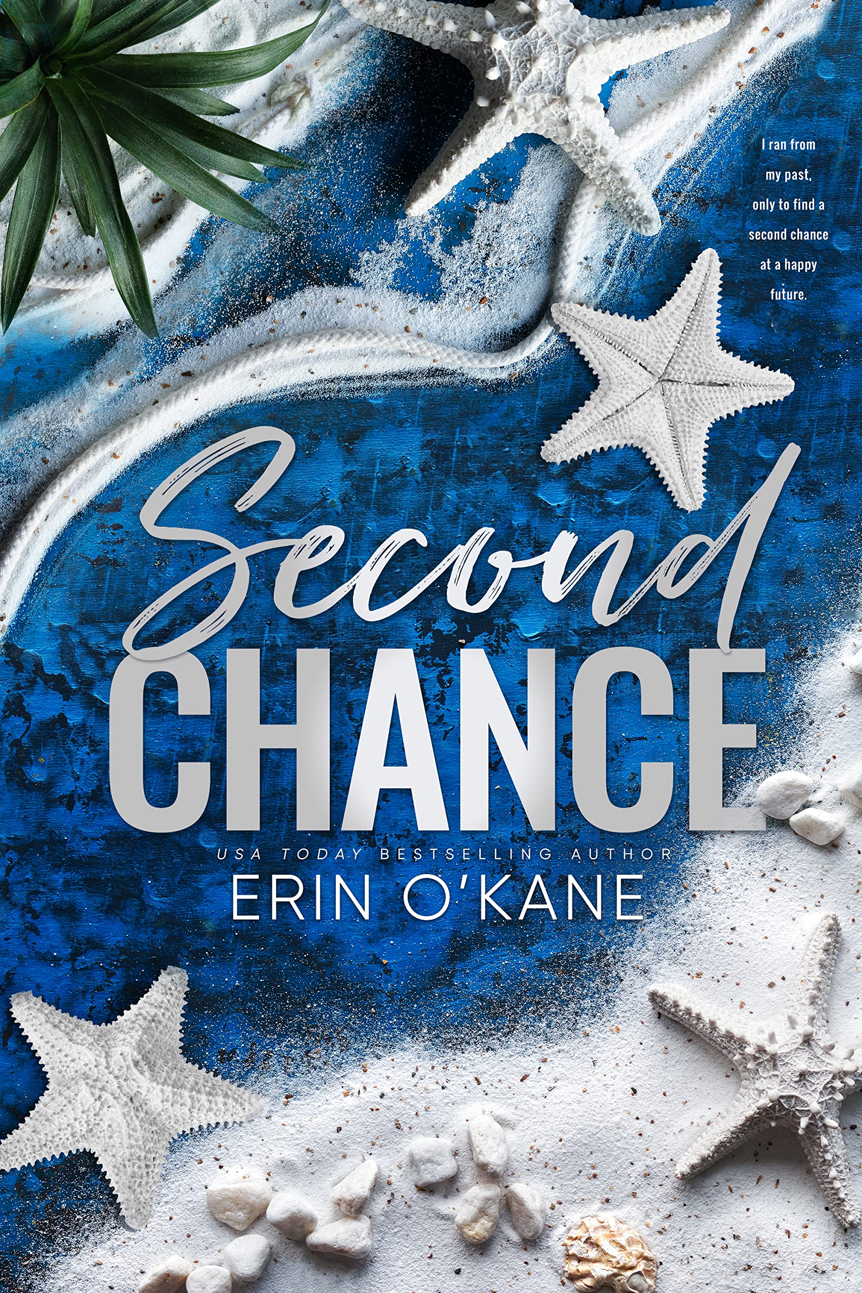 Second Chance book cover