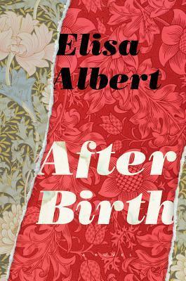After Birth book cover