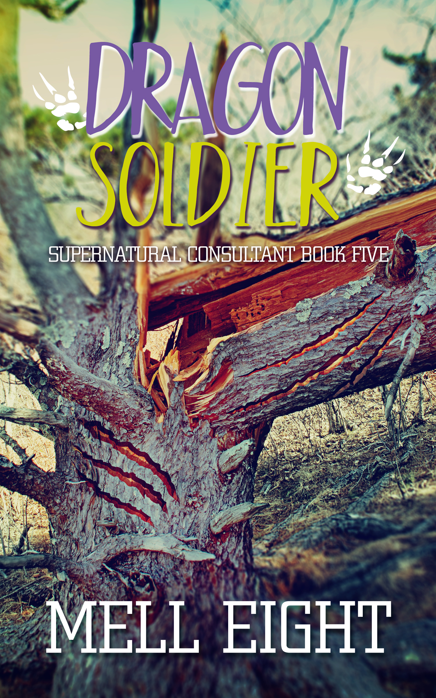 Dragon Soldier book cover