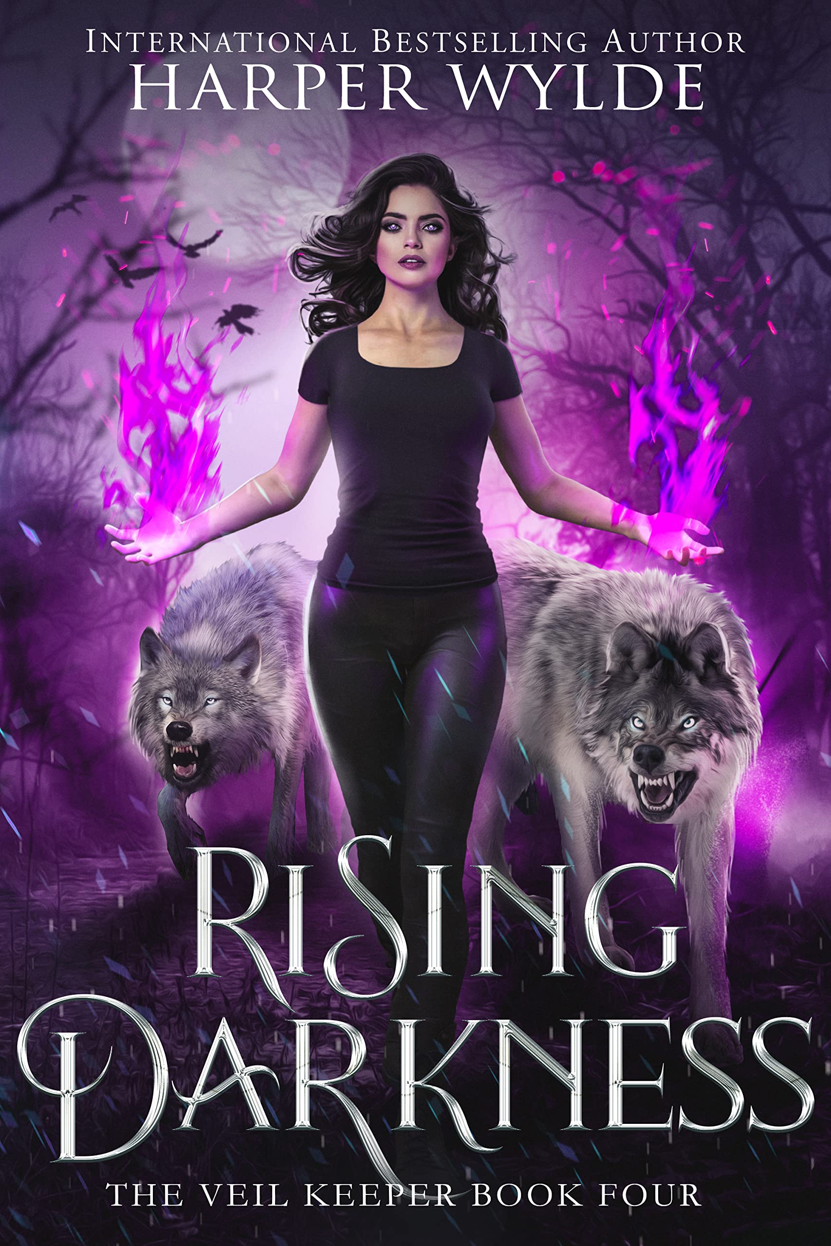 Rising Darkness book cover