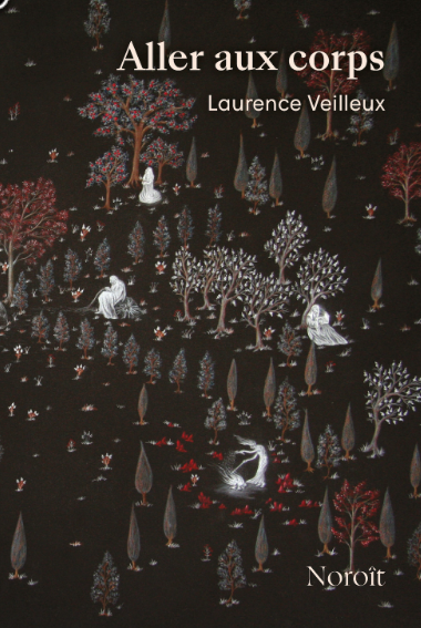 Aller aux corps book cover