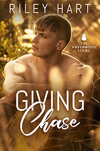 Havenwood book cover 1