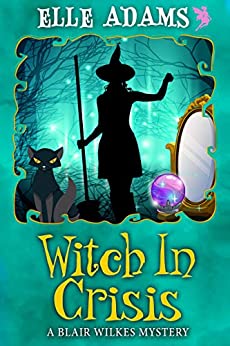 Witch in a Crisis book cover