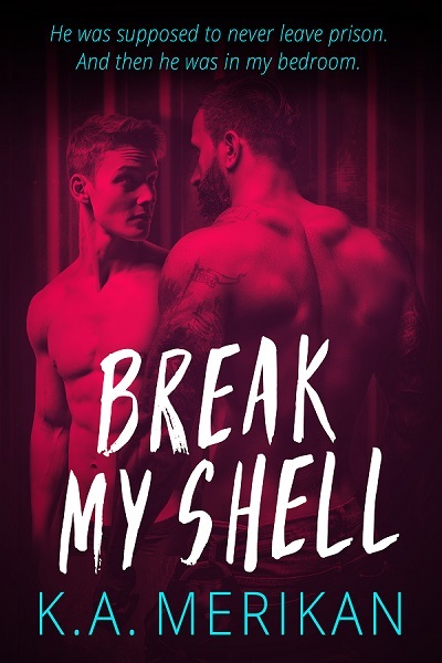 Break My Shell book cover