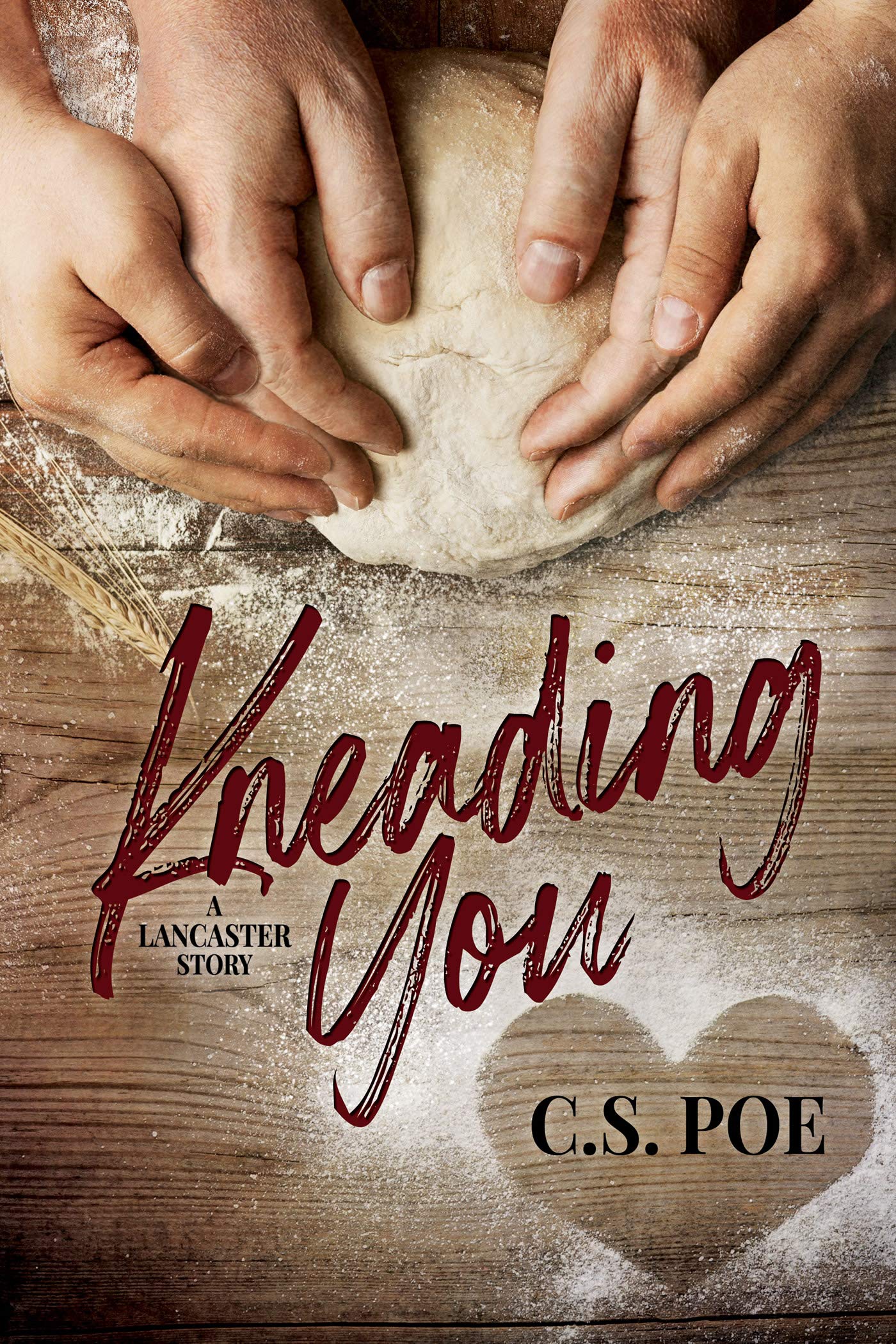A Lancaster Story book cover 1