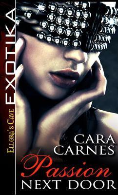 The Pleasure Brigade book cover 1