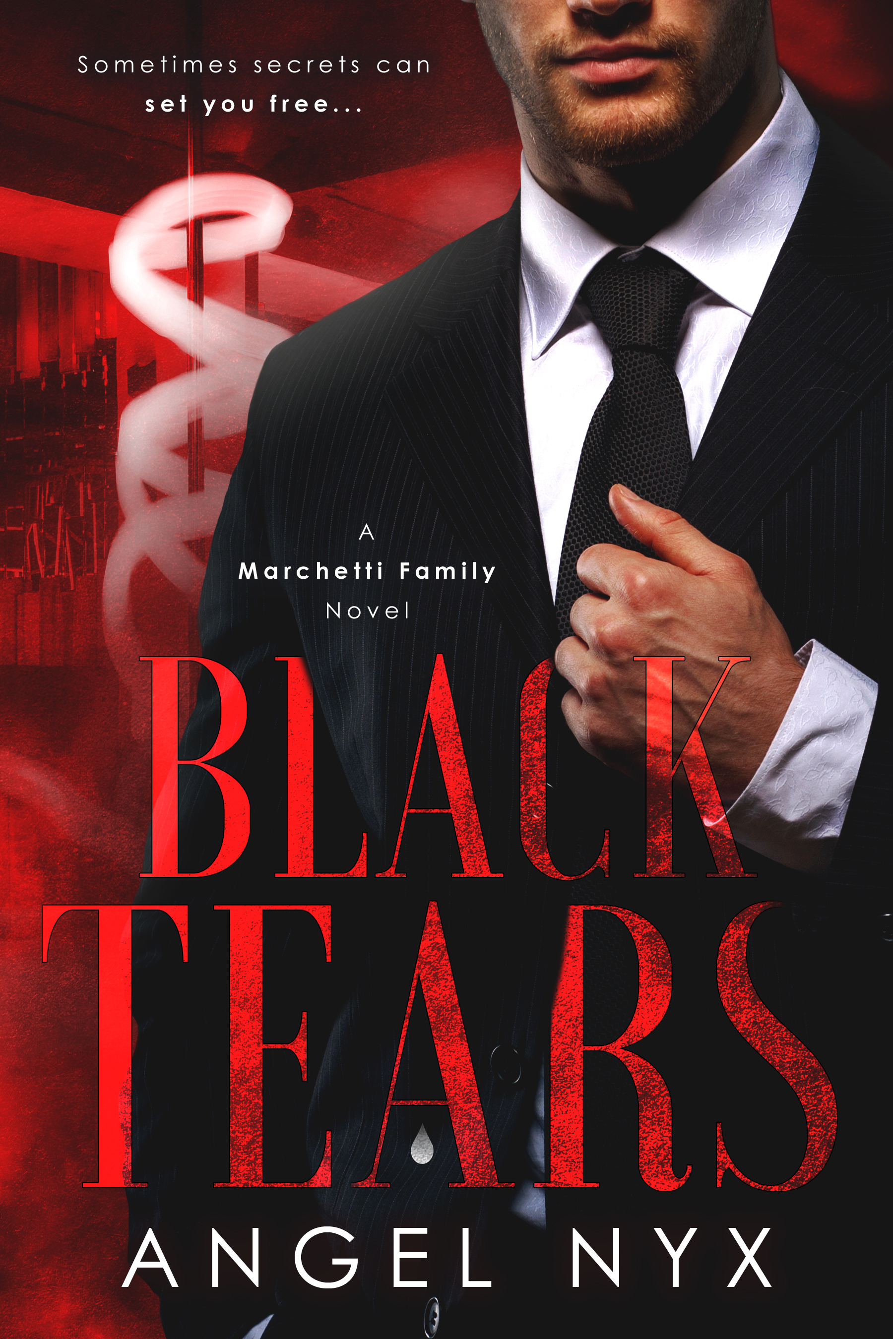 Marchetti Family book cover 1