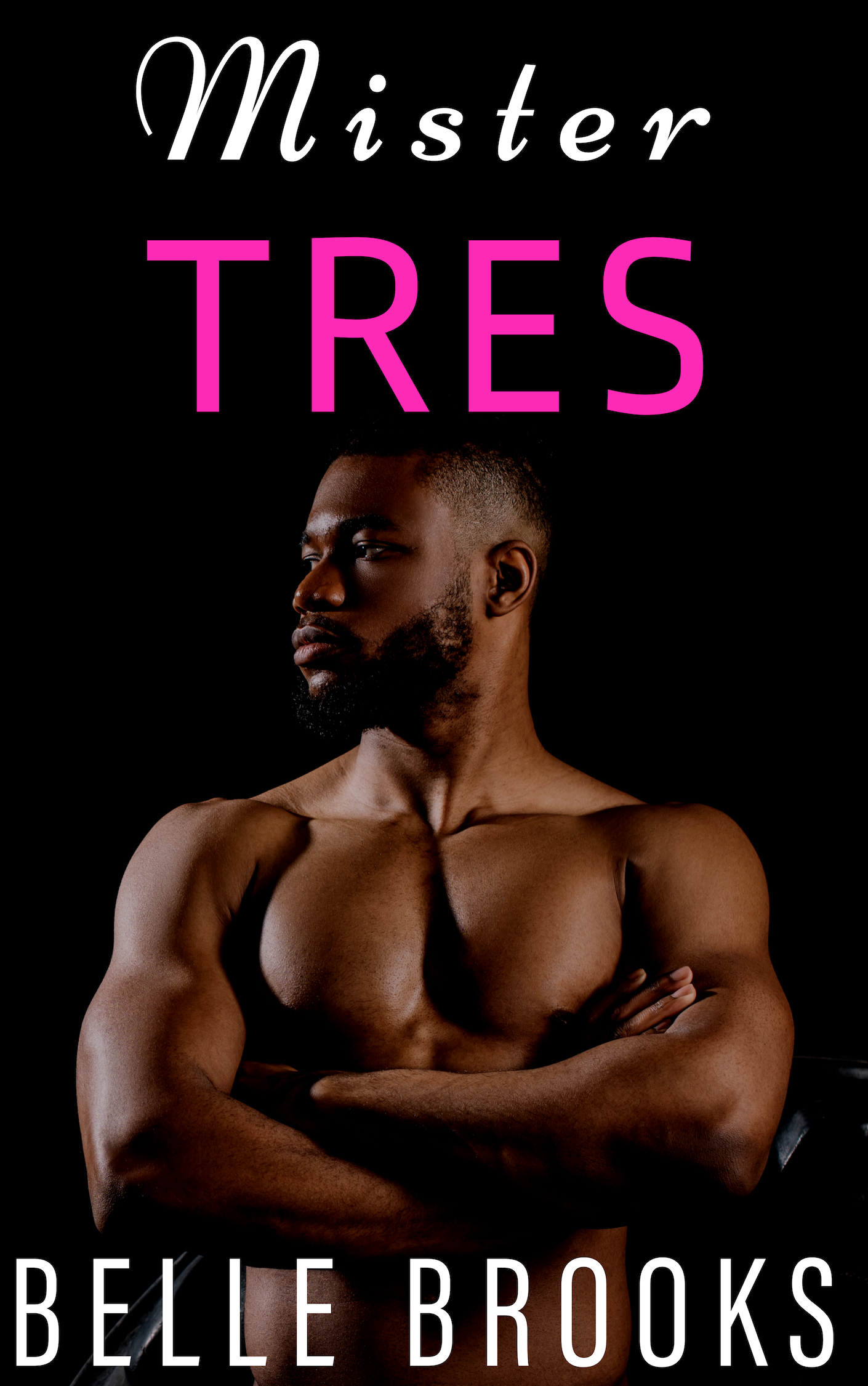 Mister, Mister book cover 3