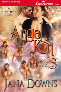 Angel Kin book cover