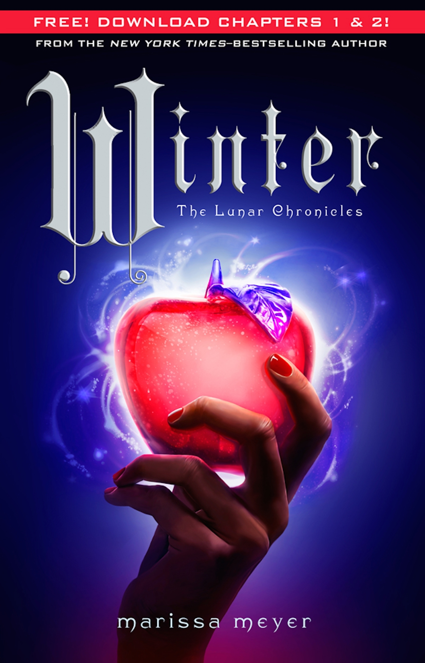 Winter book cover