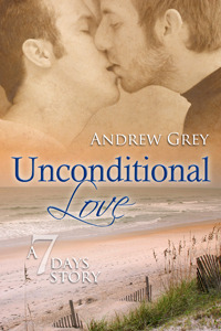 Seven Days book cover 2