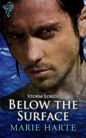 Storm Lords book cover 2