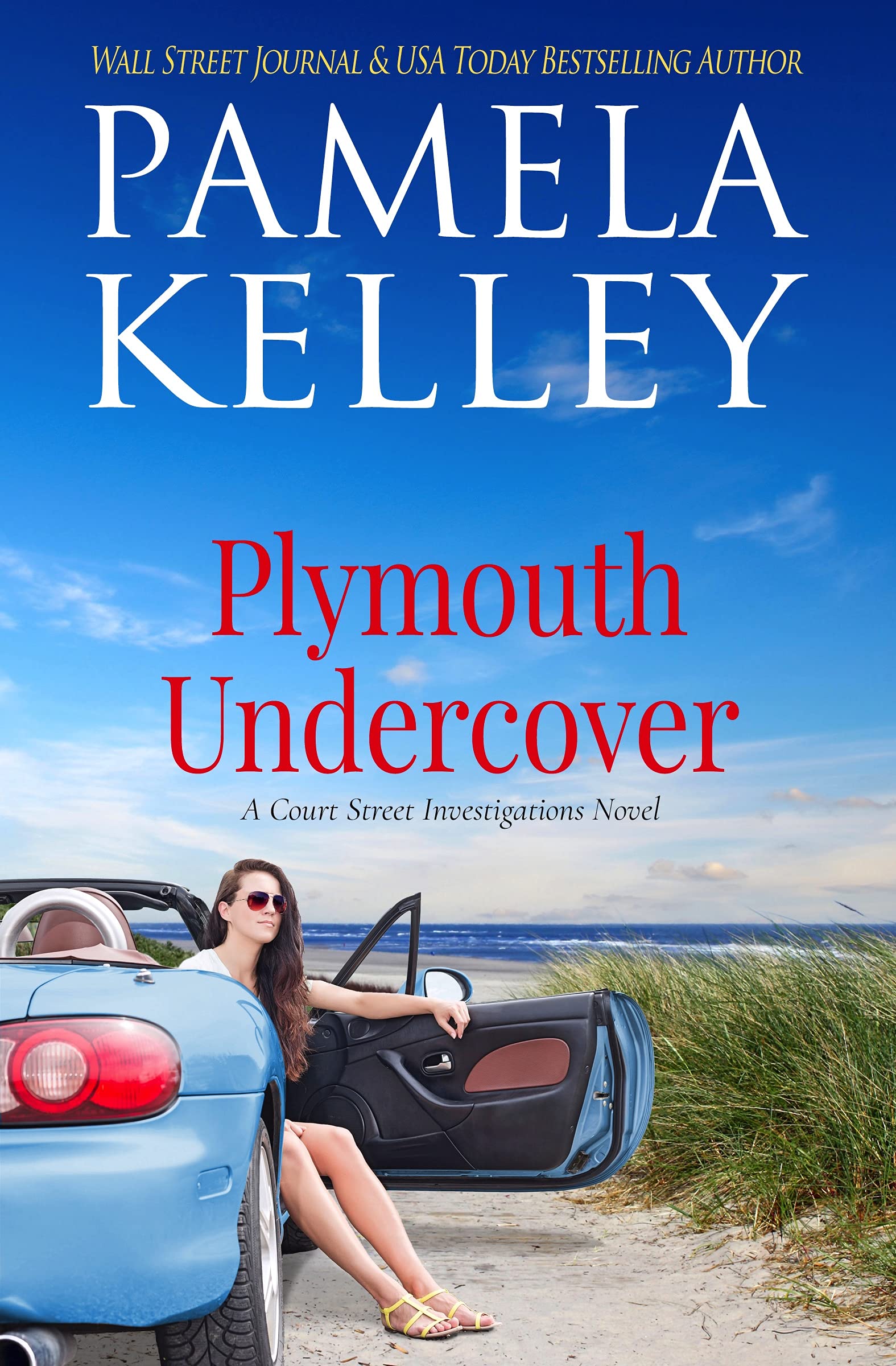 Court Street Investigations book cover 1