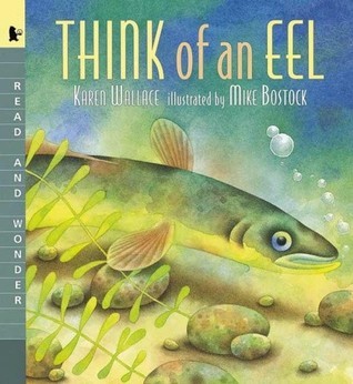 Think of an Eel book cover