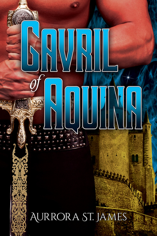 Lords of Magic book cover 1