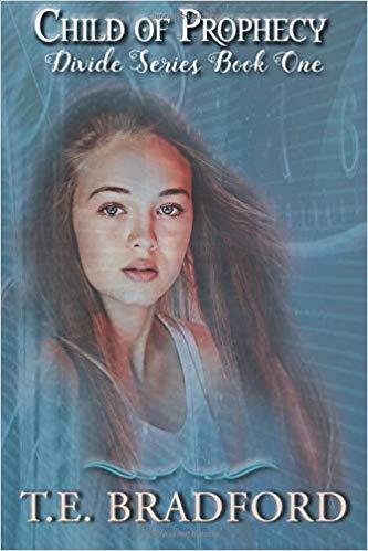 Divide book cover 1