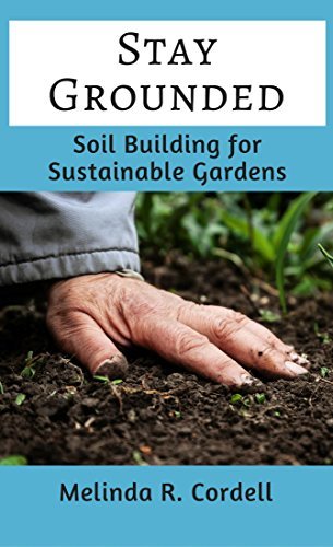 Stay Grounded book cover