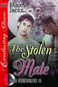 The Stolen Mate book cover
