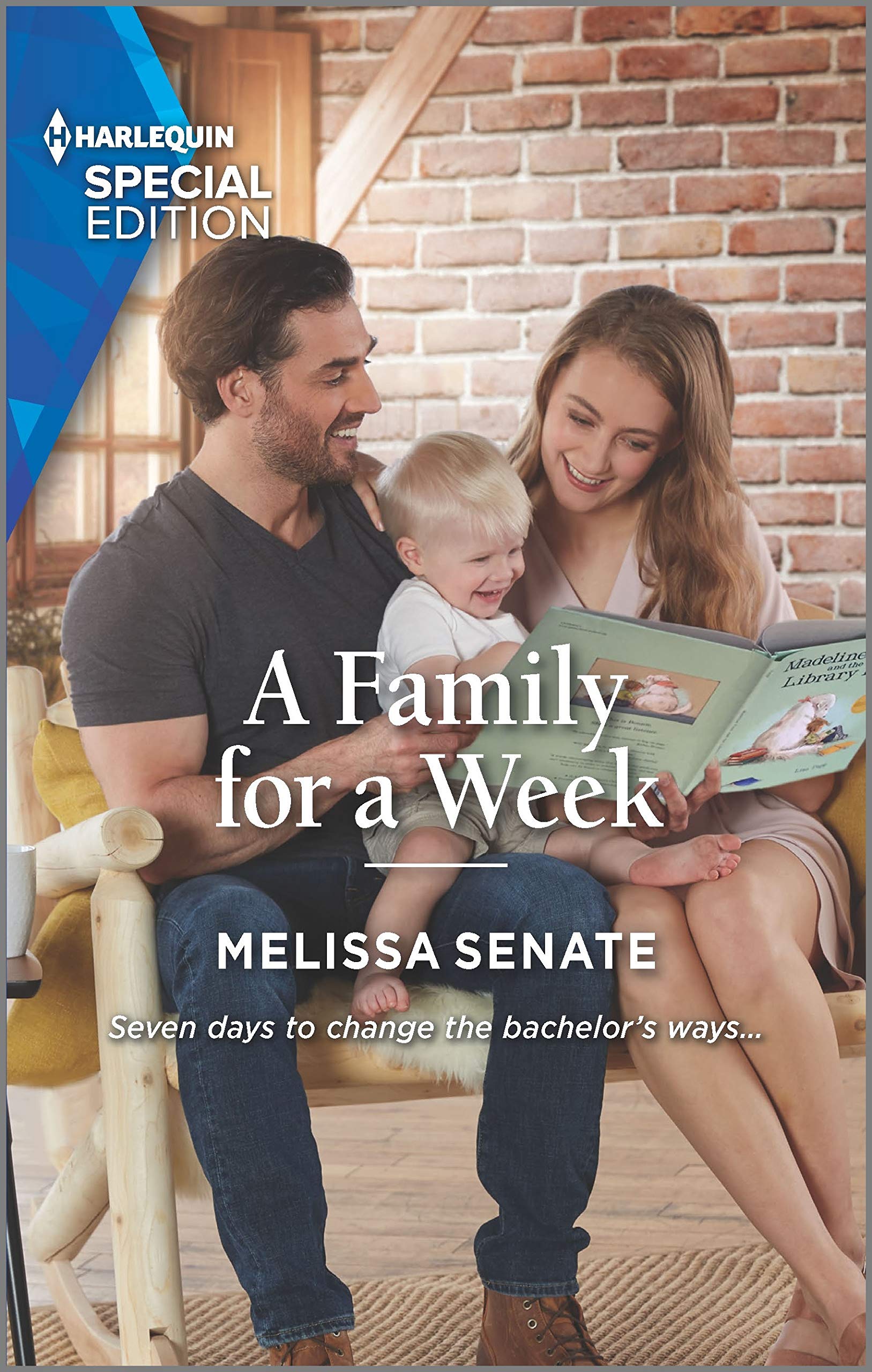 Dawson Family Ranch book cover 3