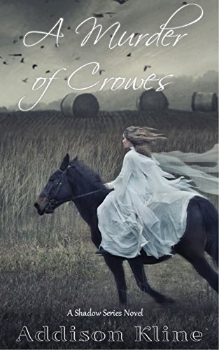 Shadow book cover 3