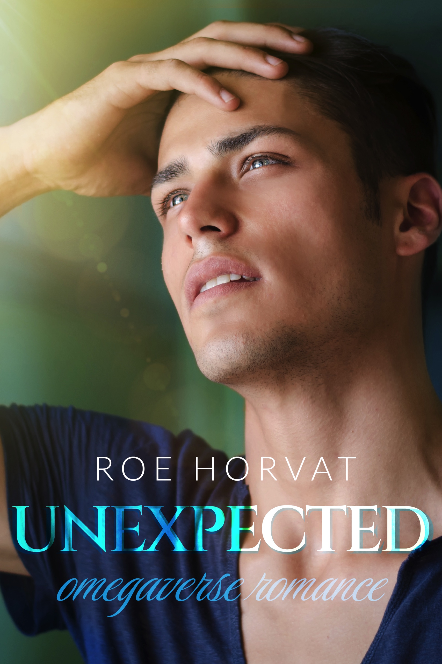 Winter Sun book cover 2