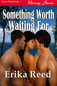 Something Worth Waiting For book cover
