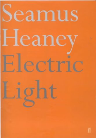 Electric Light book cover