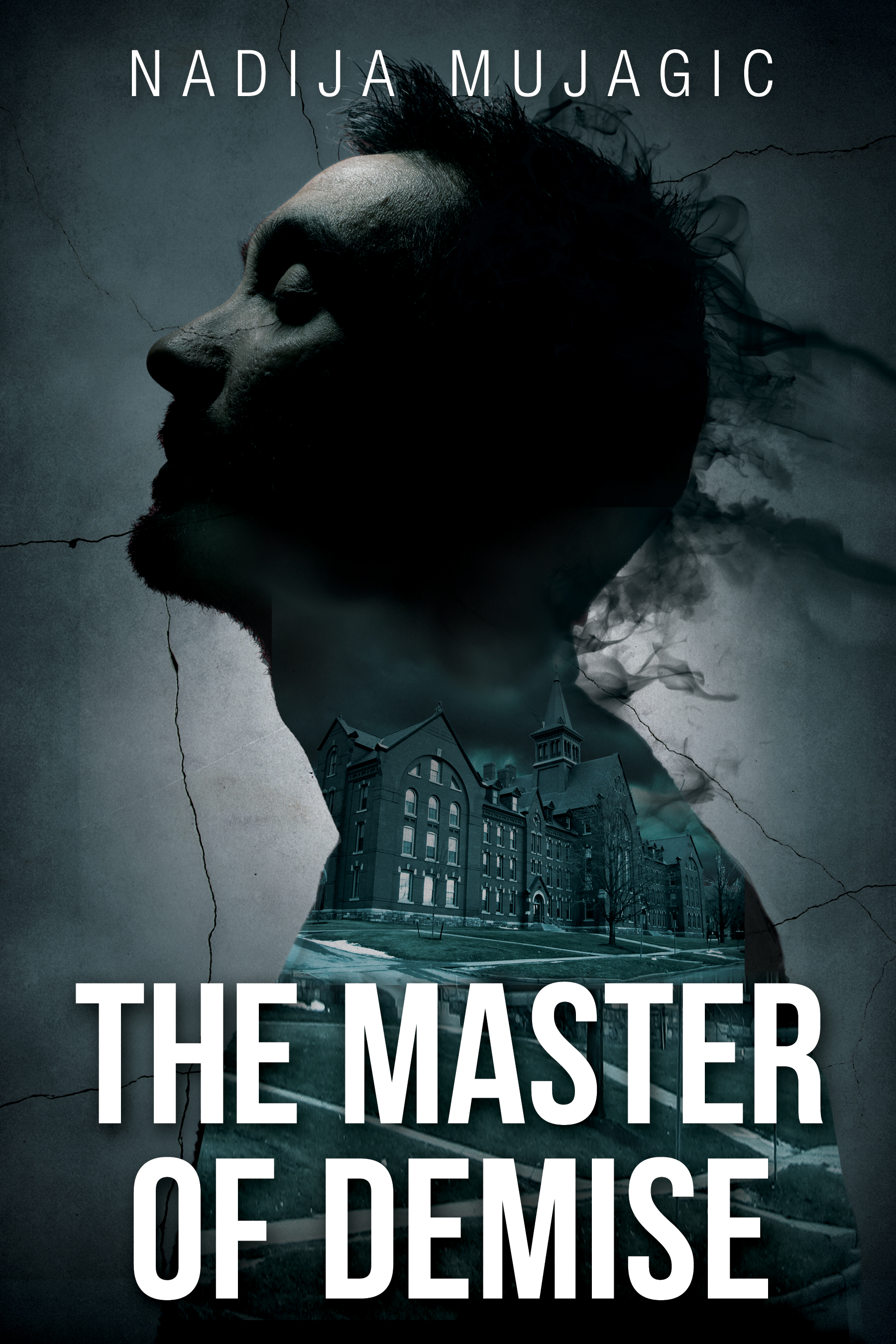 The Master of Demise book cover