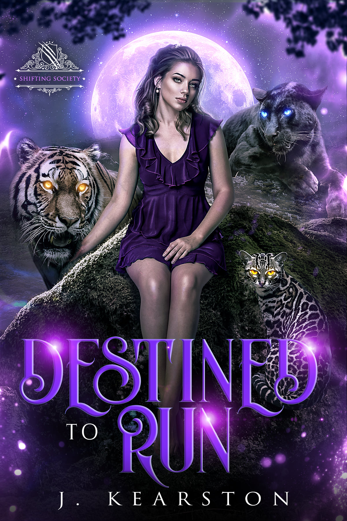 A Shifting Society book cover 2