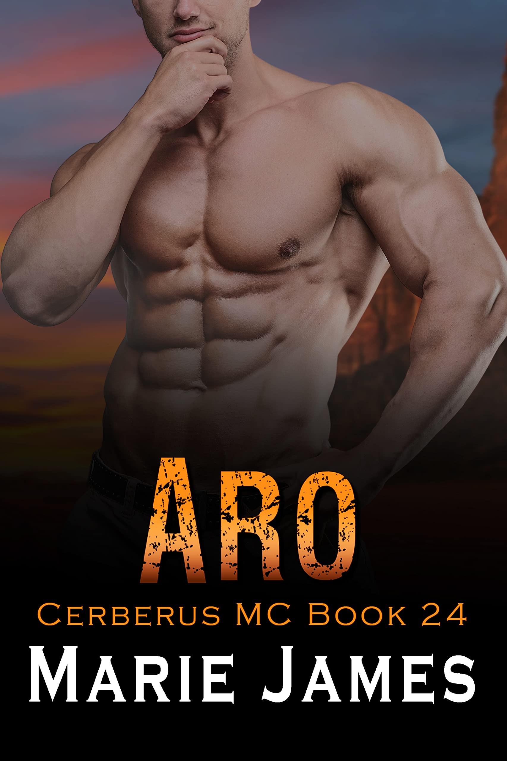 Aro book cover