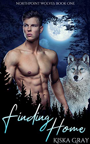 Northpoint Wolves book cover 1