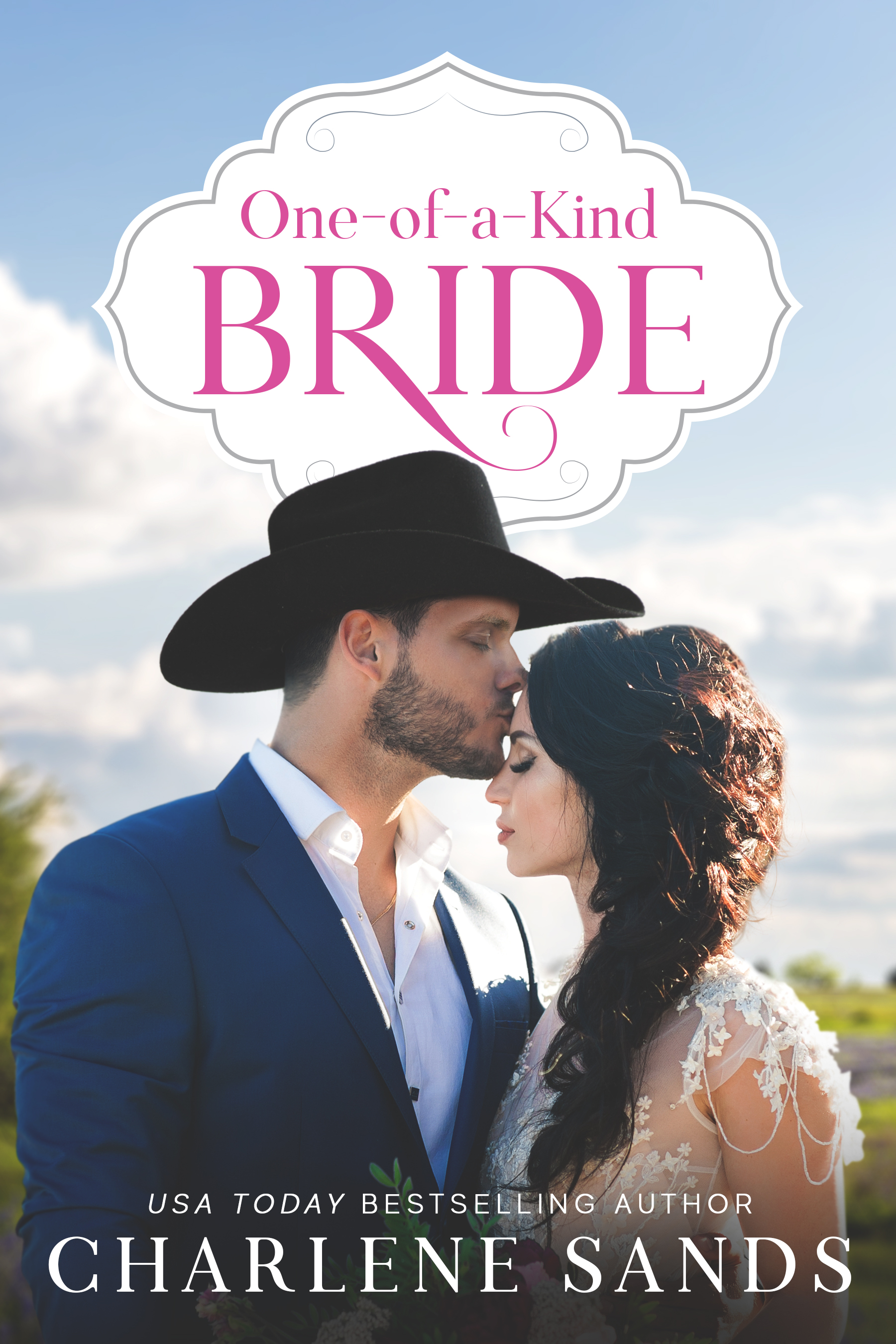 Home to Texas book cover 1