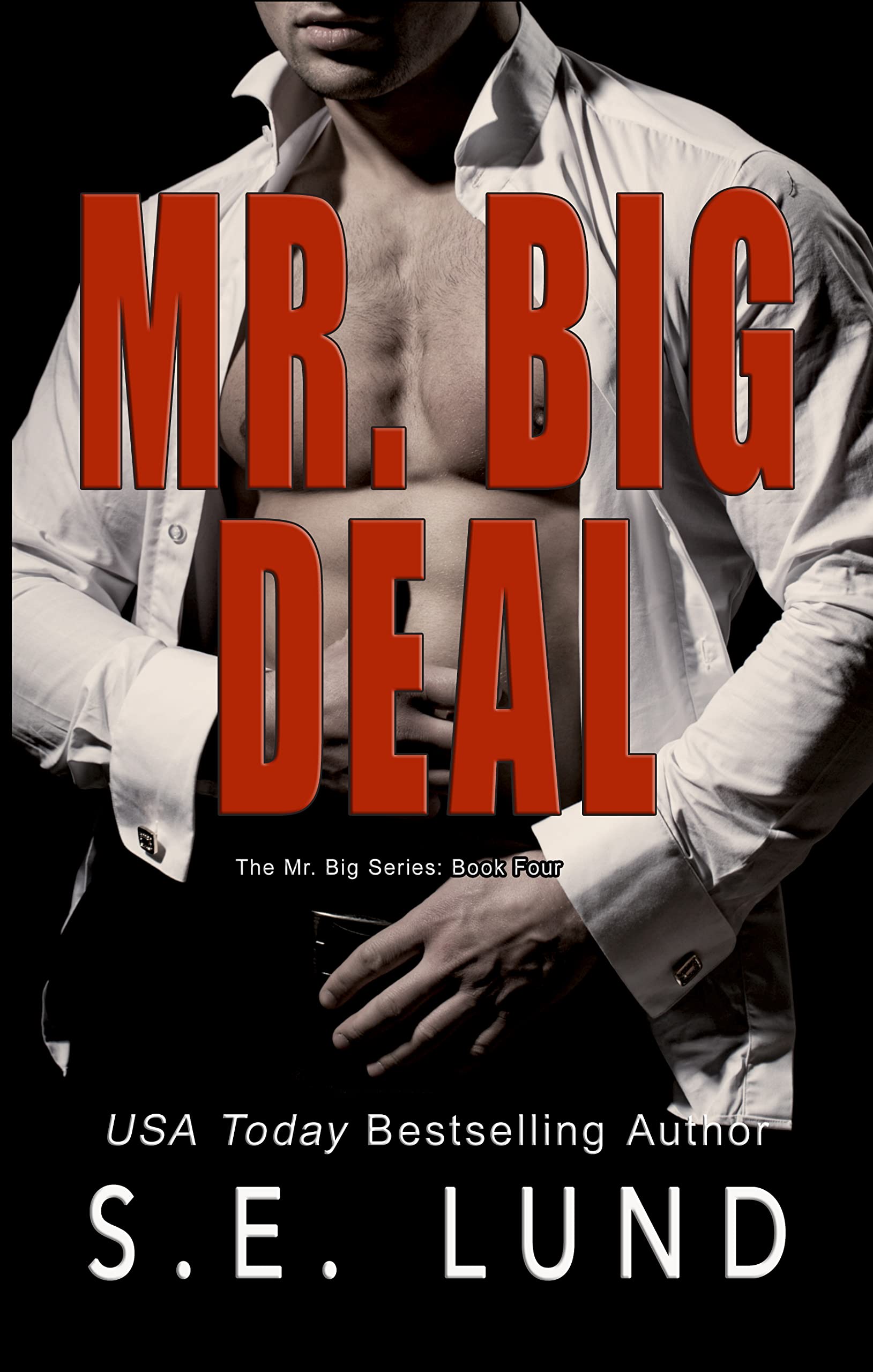 Mr. Big Deal book cover