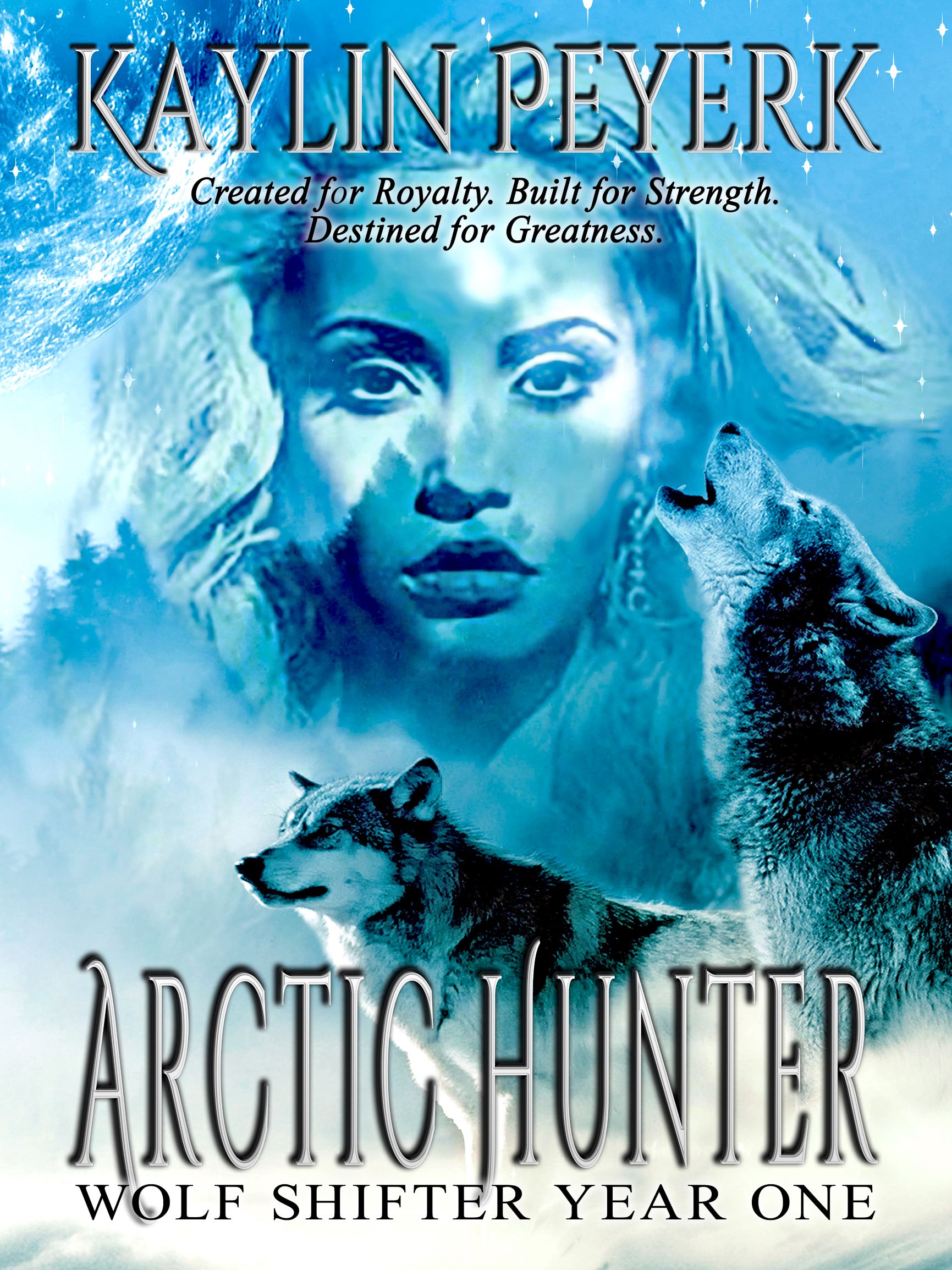 Arctic Shifters book cover 1
