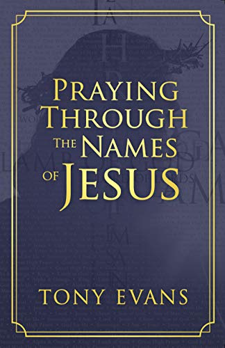 Praying Through the Names of Jesus book cover