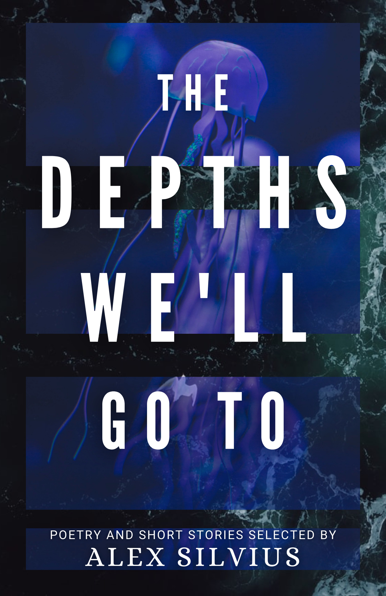 The Depths We'll Go To book cover