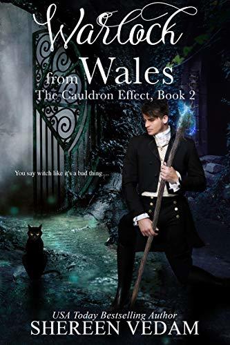 The Cauldron Effect book cover 2