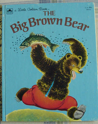 The Big Brown Bear book cover