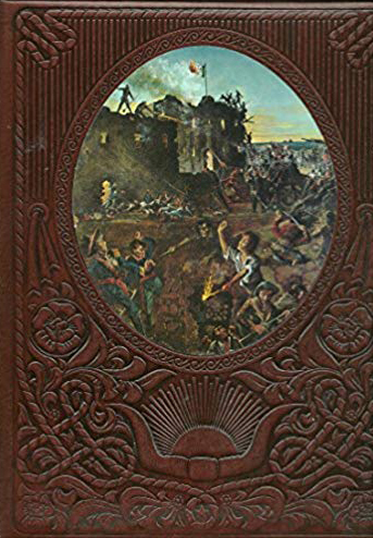 The Texans book cover
