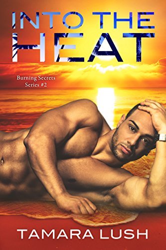 Burning Secrets book cover 2