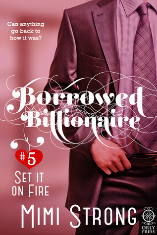 Set it on Fire book cover