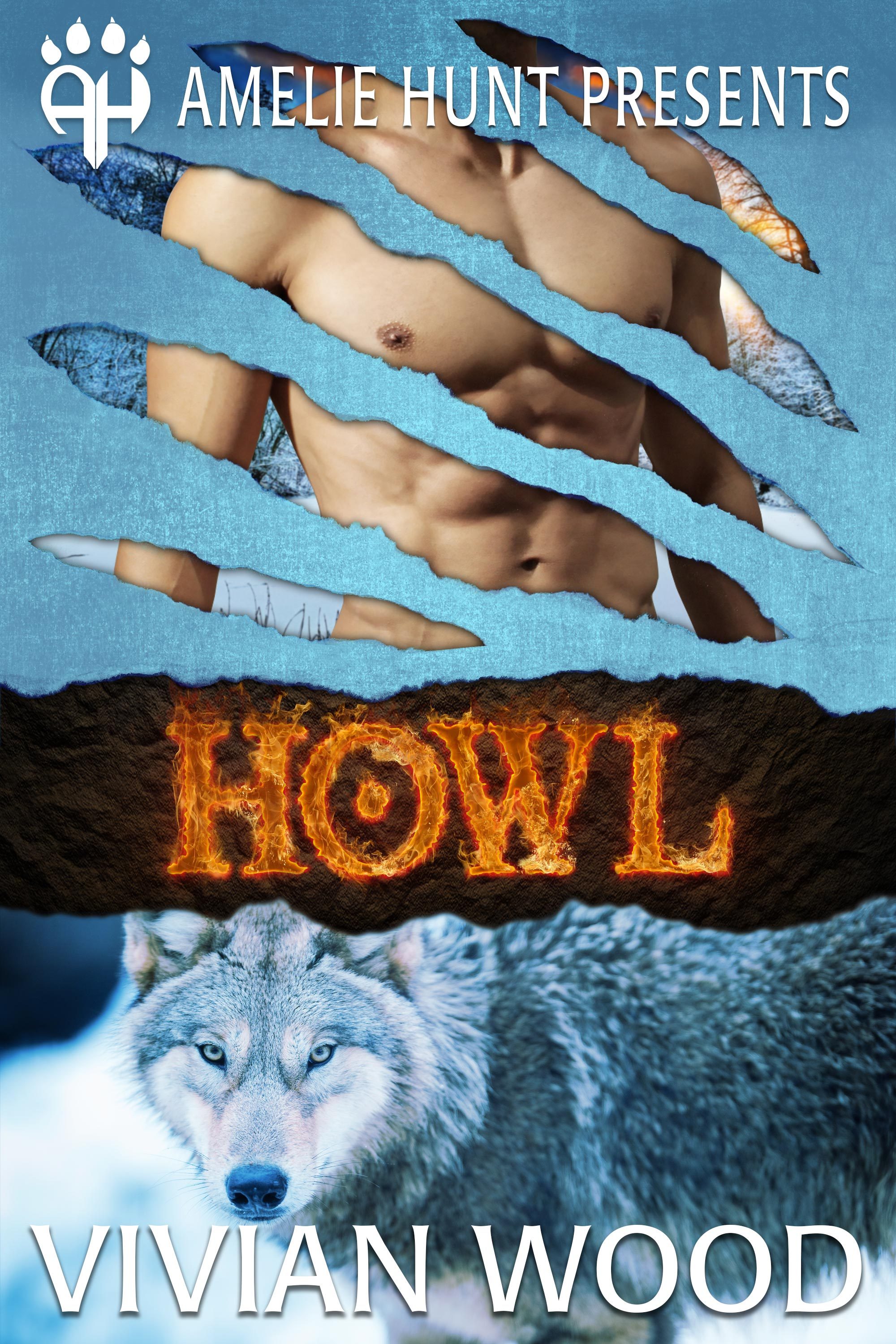 Winter Pass Wolves book cover 1