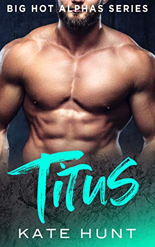 Big Hot Alphas book cover 2