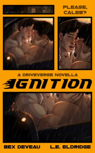 Ignition book cover