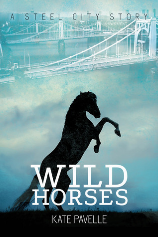 Steel City book cover 1