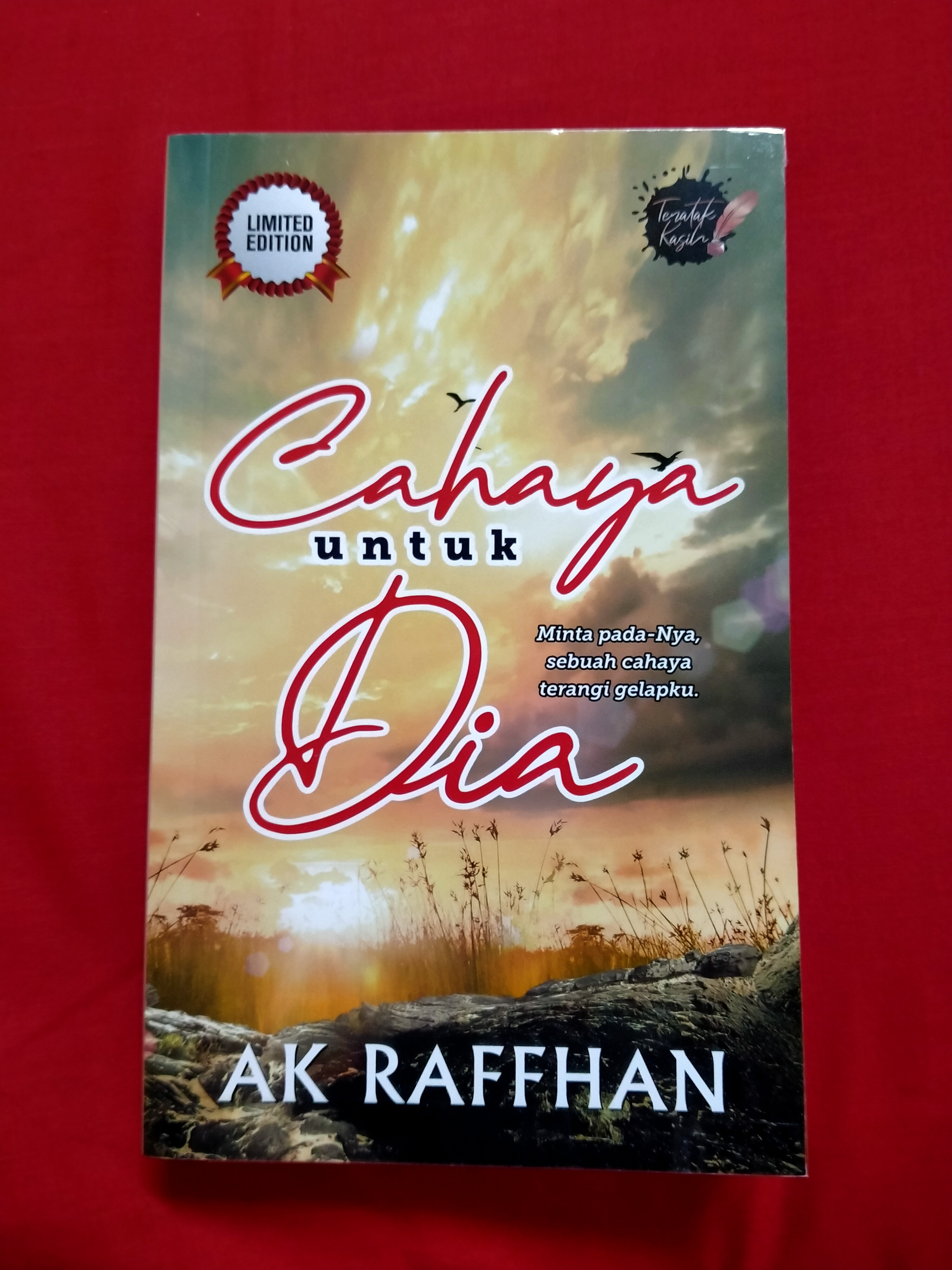 Cahaya Untuk Dia book cover