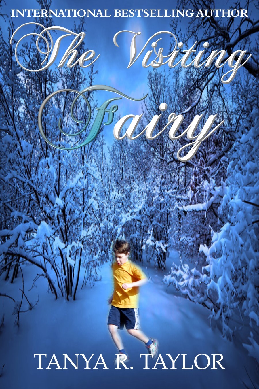 The Visiting Fairy book cover