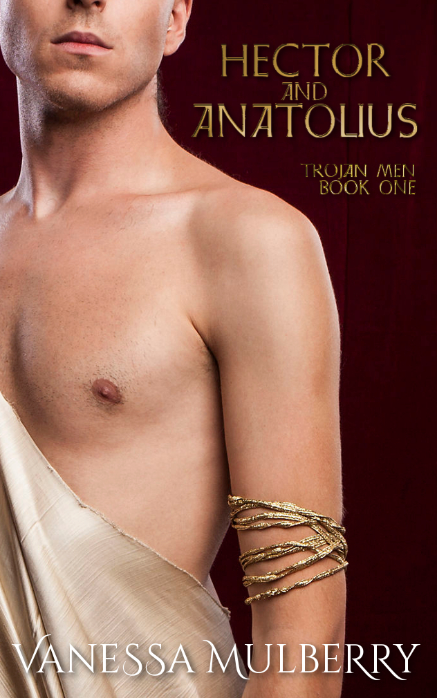 Trojan Men book cover 1