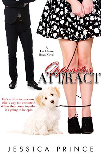 The Locklaine Boys book cover 2